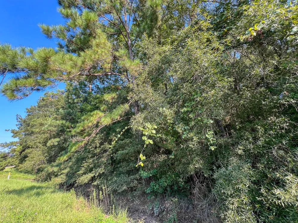 2 Fm 2802 Vidor, TX 77662