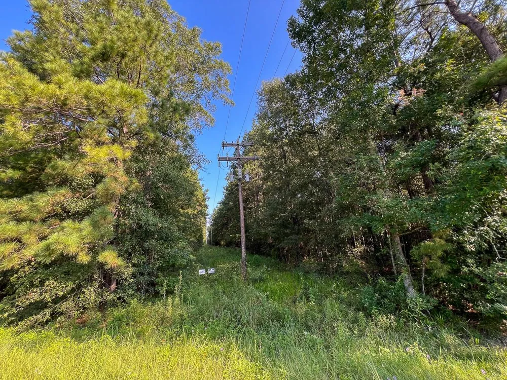 2 Fm 2802 Vidor, TX 77662