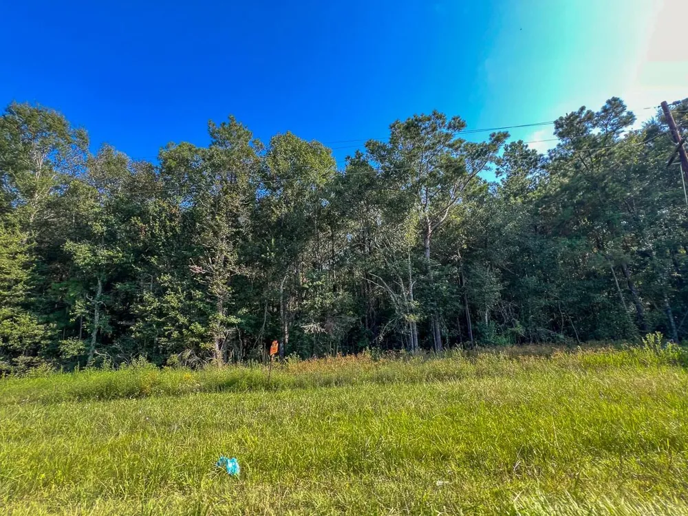 2 Fm 2802 Vidor, TX 77662