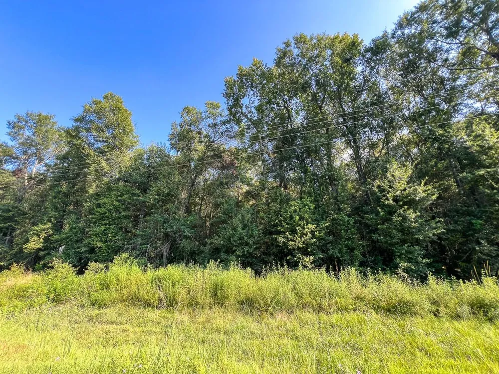 2 Fm 2802 Vidor, TX 77662