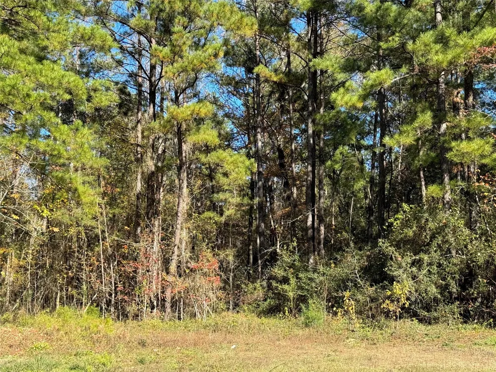 4 Red Hawk Road Huntsville, TX 77340