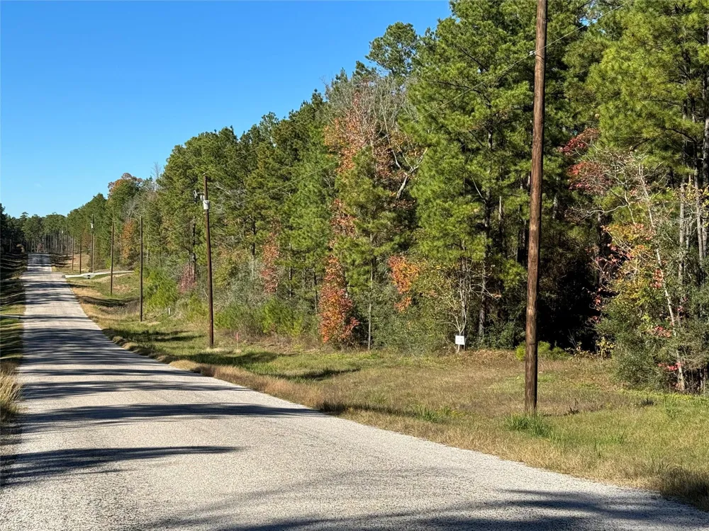 4 Red Hawk Road Huntsville, TX 77340