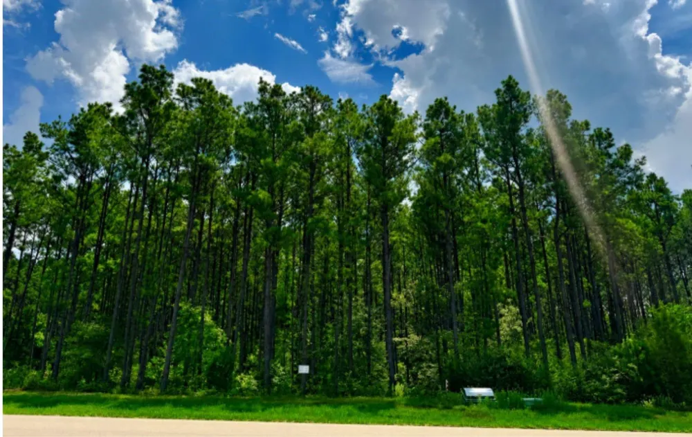 10891 Ruger Road Willis, TX 77378