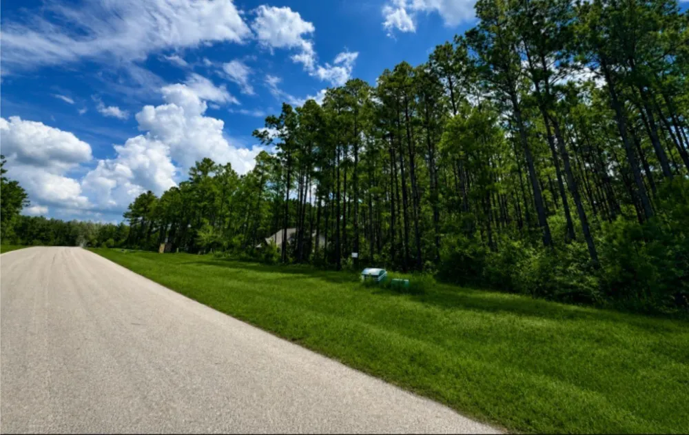 10891 Ruger Road Willis, TX 77378