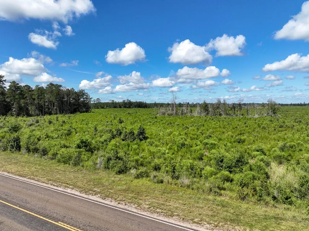 6 Fm 92 Spurger, TX 77660