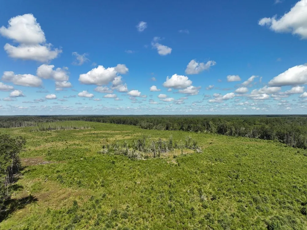 6 Fm 92 Spurger, TX 77660