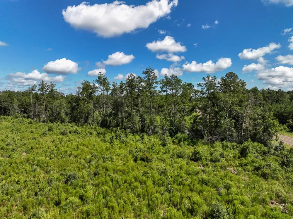 6 Fm 92 Spurger, TX 77660