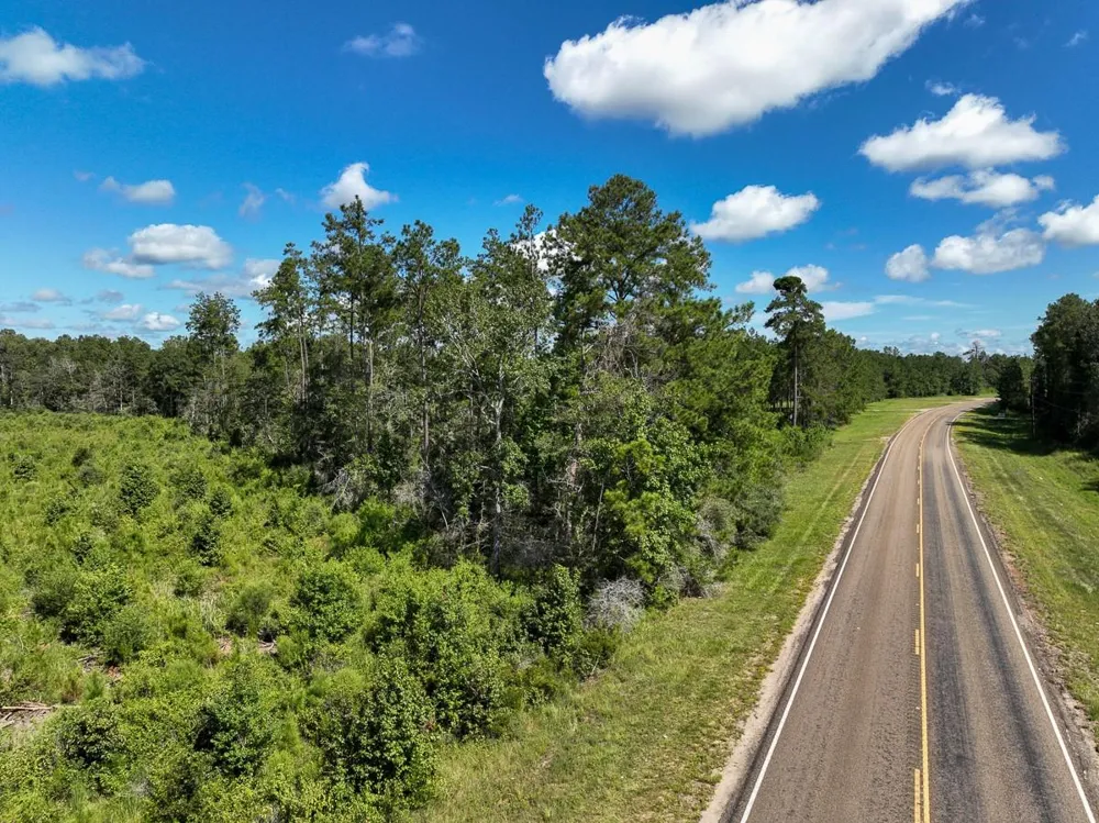 6 Fm 92 Spurger, TX 77660