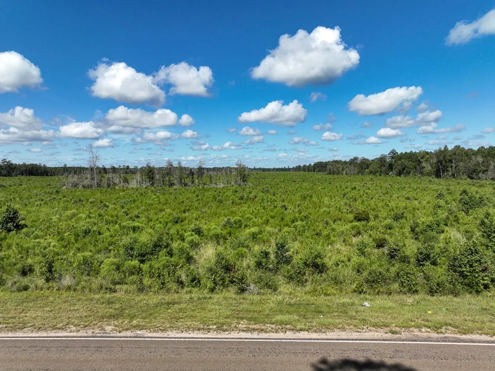 6 Fm 92 Spurger, TX 77660