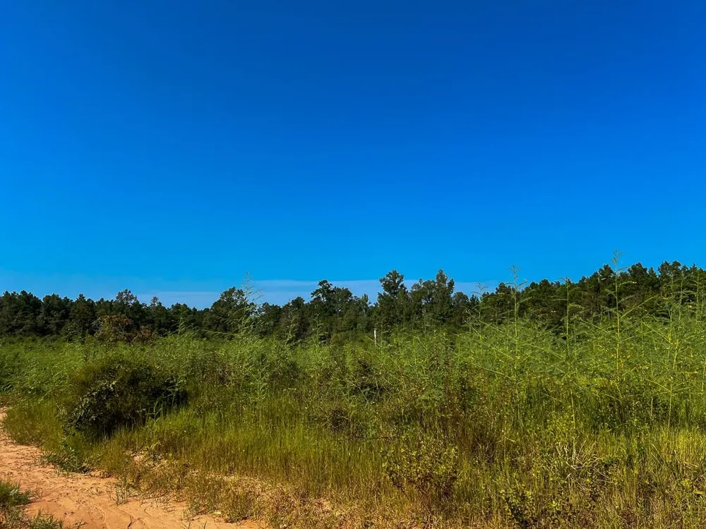 Shady Grove Rd Woodville, TX 75979