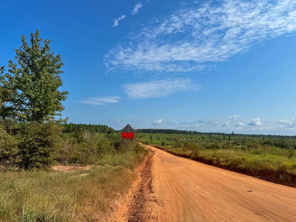 Shady Grove Rd Woodville, TX 75979