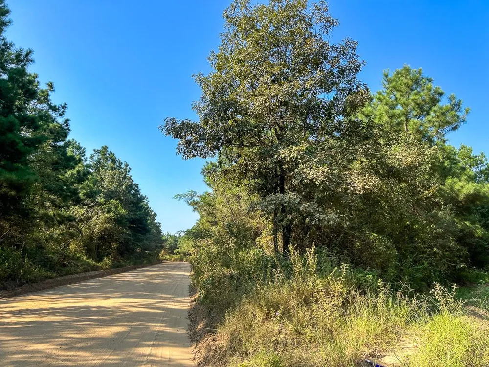 Shady Grove Rd Woodville, TX 75979