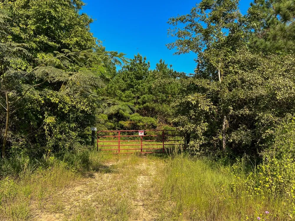 Shady Grove Rd Woodville, TX 75979