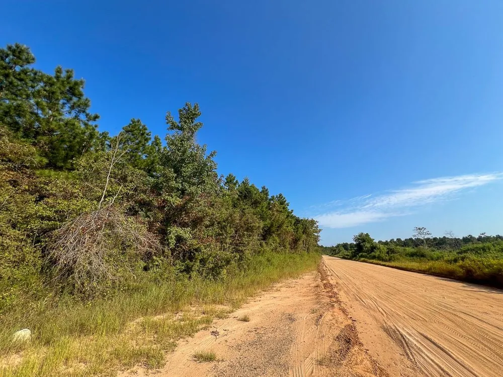 Shady Grove Rd Woodville, TX 75979