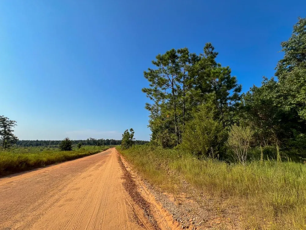 Hwy 190 Woodville, TX 75979