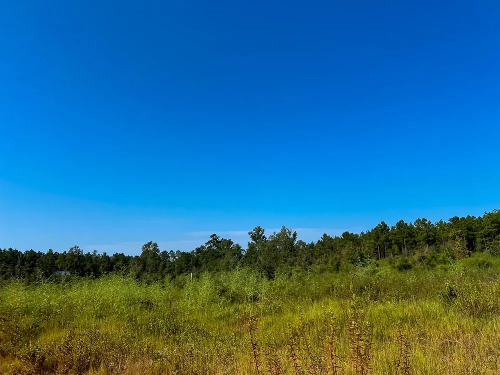 Hwy 190 Woodville, TX 75979