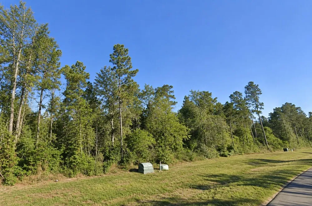 11756 Grand North Road Willis, TX 77378