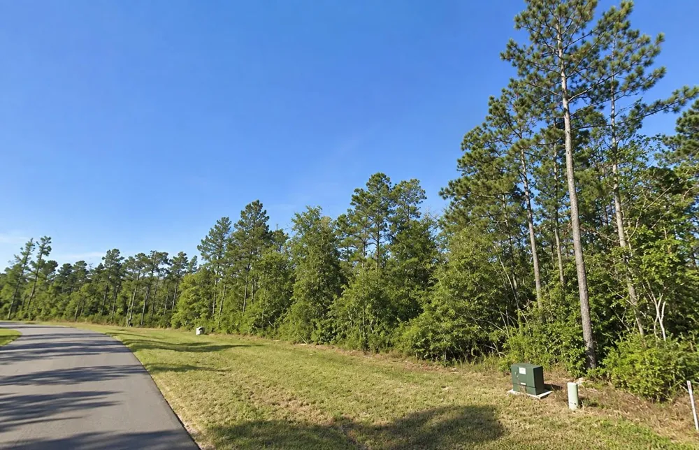 11756 Grand North Road Willis, TX 77378