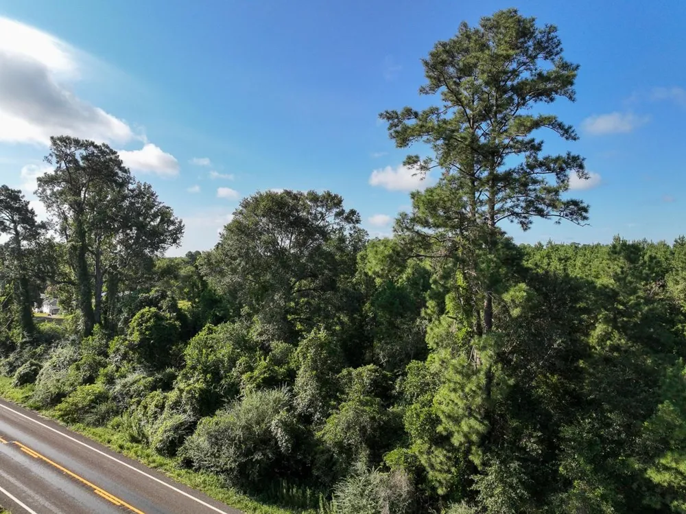 2 Fm 1013 Kirbyville, TX 75956