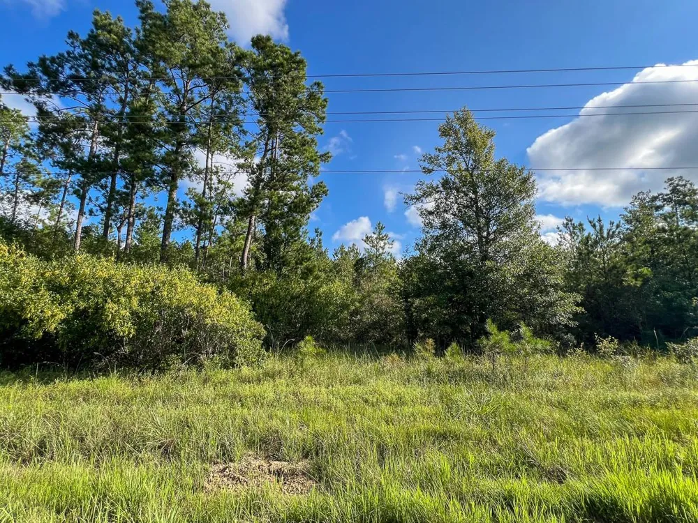 2 Fm 1013 Kirbyville, TX 75956