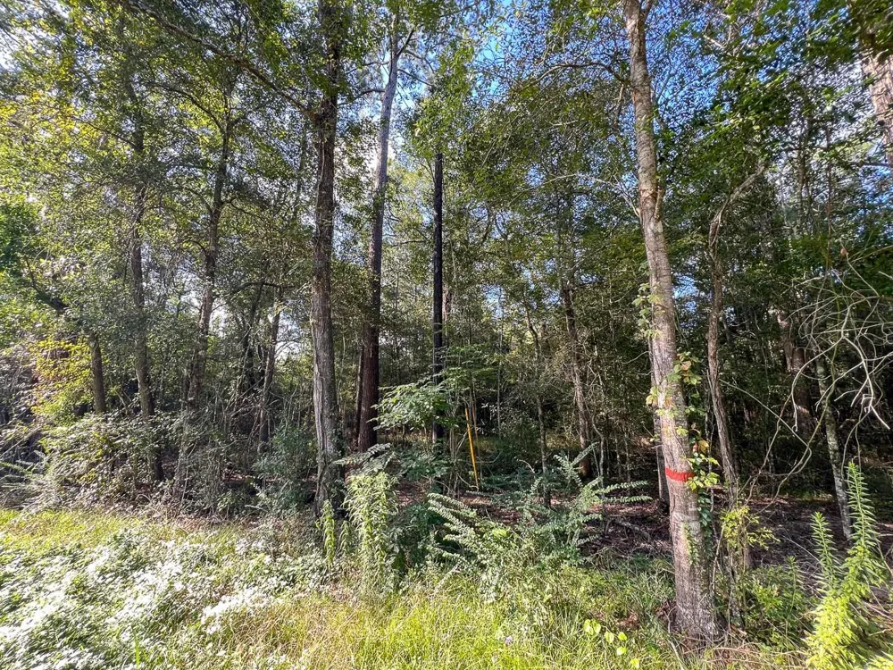 2 Fm 1013 Kirbyville, TX 75956