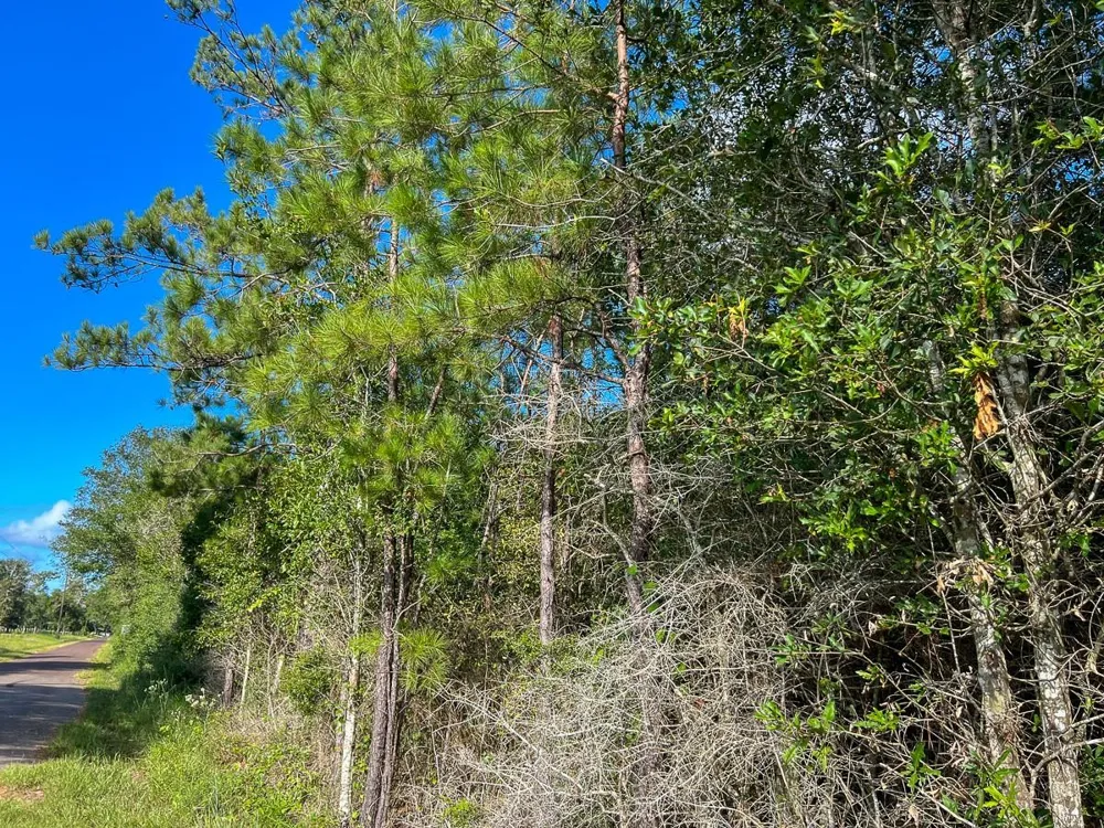2 Fm 1013 Kirbyville, TX 75956