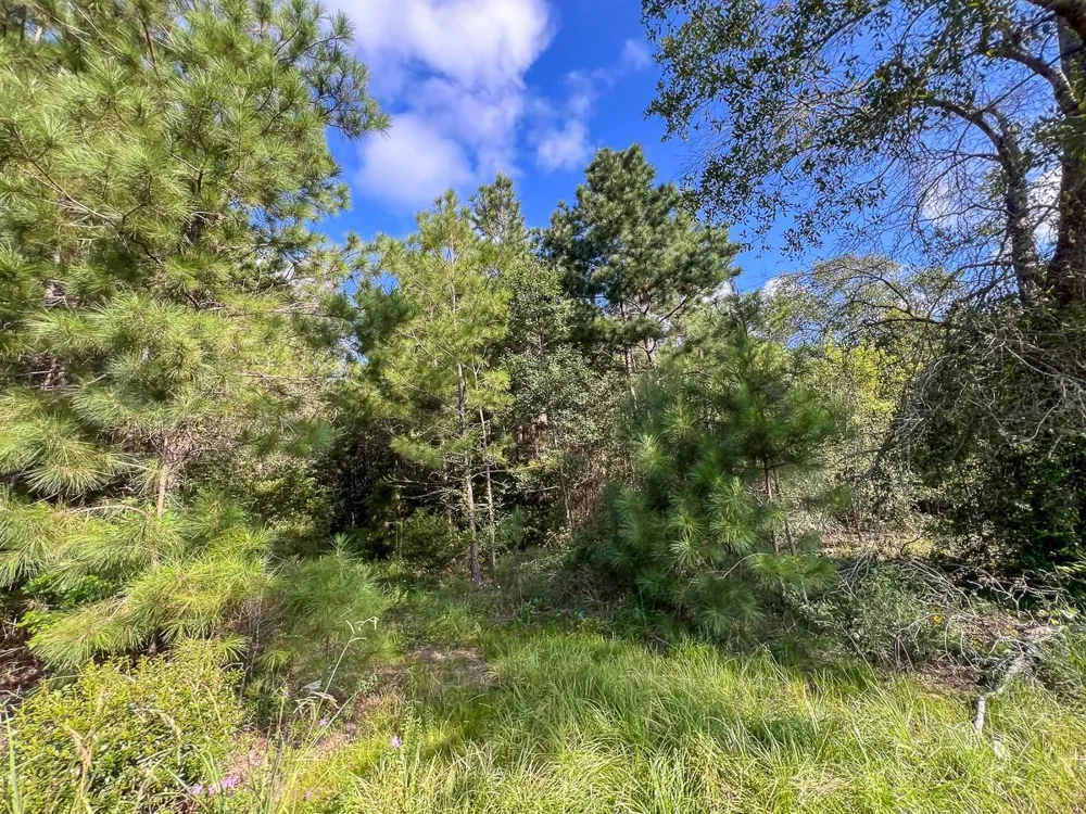 2 Fm 1013 Kirbyville, TX 75956