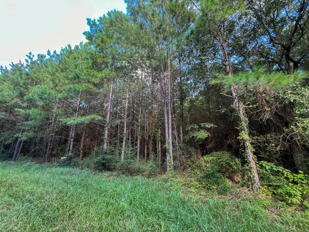 2 Fm 1013 Kirbyville, TX 75956