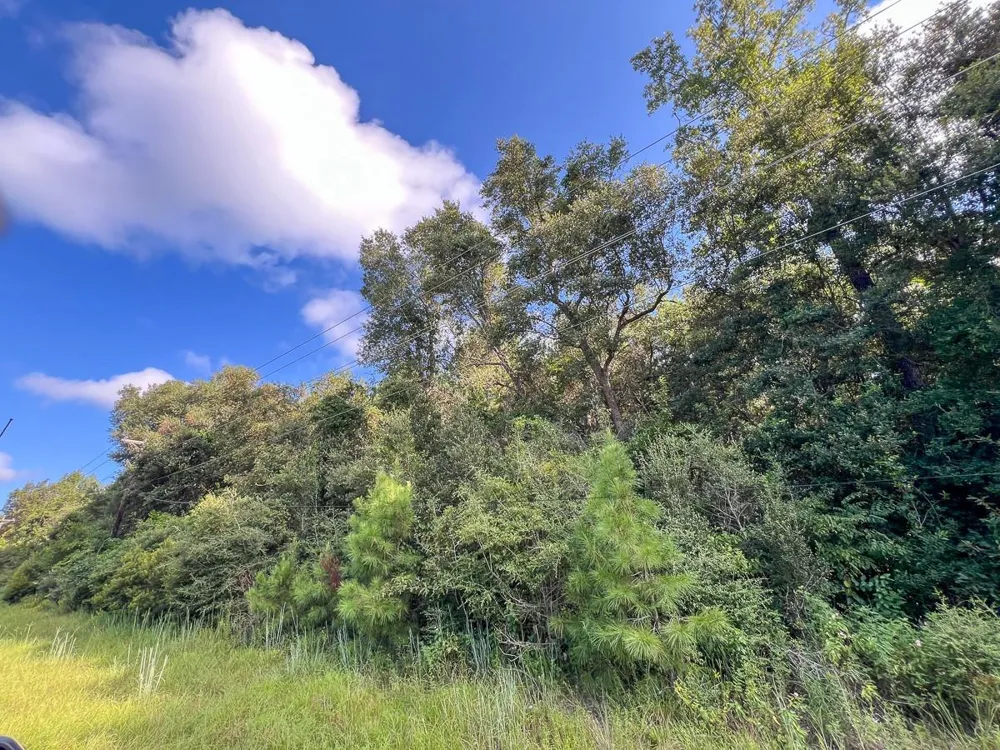 4 Cr 517 Kirbyville, TX 75956