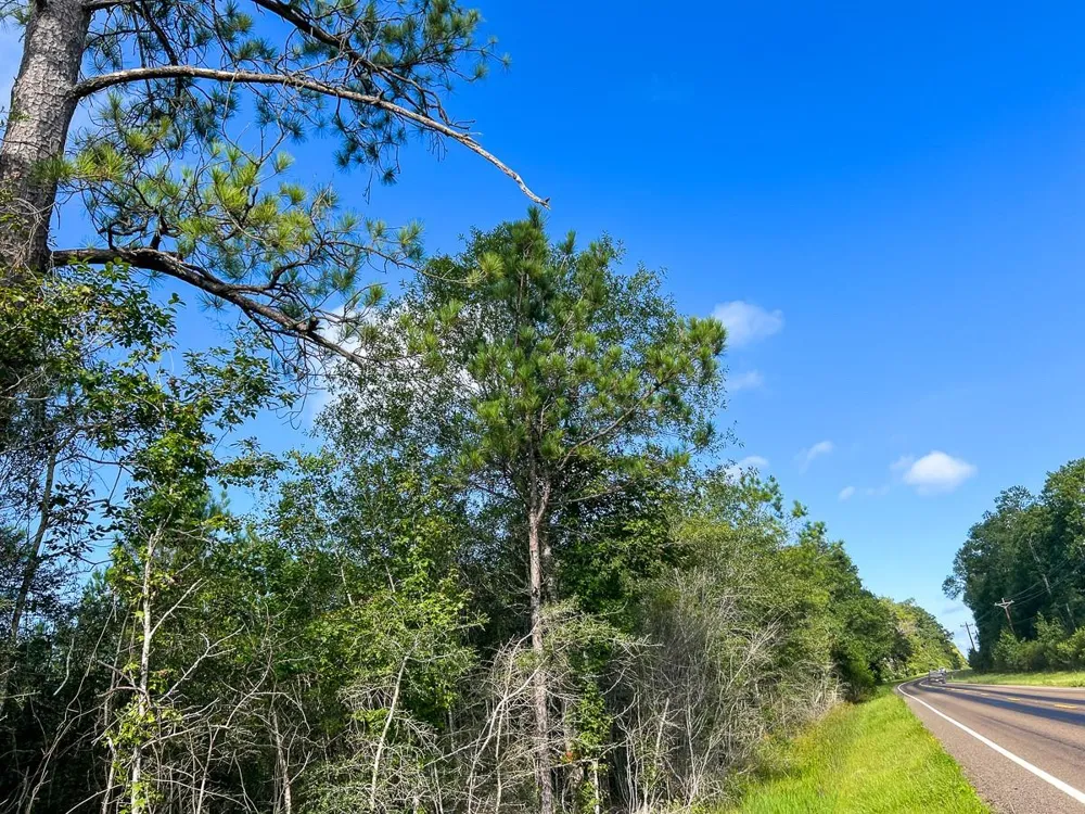 6 Fm 1013, Cr 517 Kirbyville, TX 75956