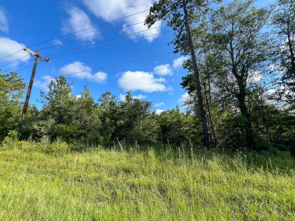6 Fm 1013, Cr 517 Kirbyville, TX 75956