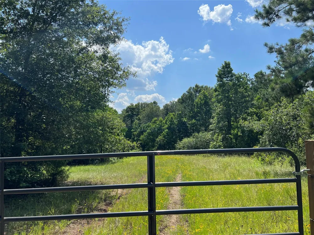 2450 Crockett Martin Road Conroe, TX 77306