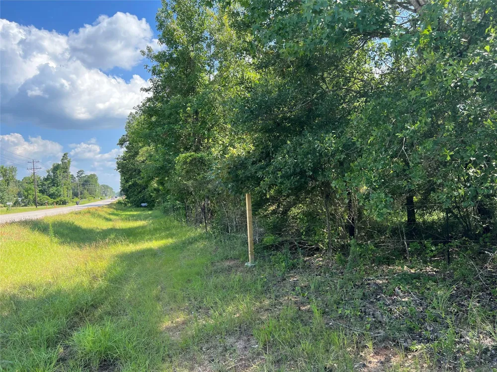 2450 Crockett Martin Road Conroe, TX 77306