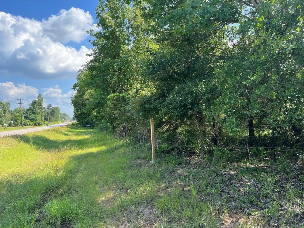 2450 Crockett Martin Road Conroe, TX 77306