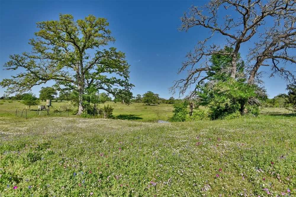 7237 County Road 170 Caldwell, TX 77836