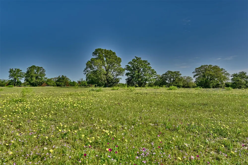 7237 County Road 170 Caldwell, TX 77836