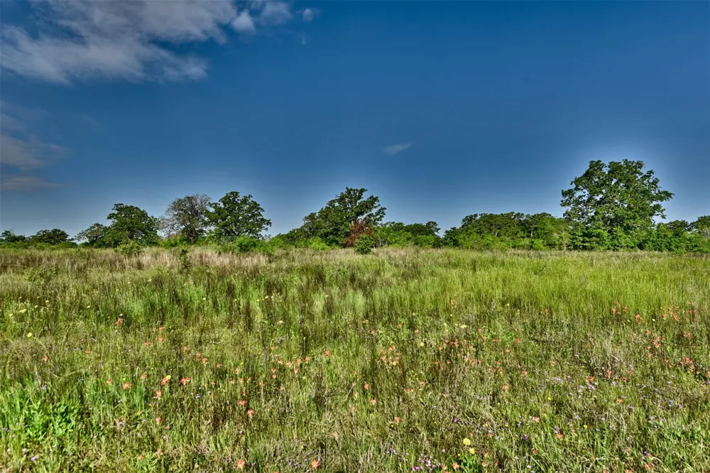 7237 County Road 170 Caldwell, TX 77836