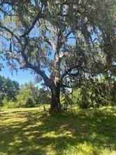 663 Pony Trail Angleton, TX 77515