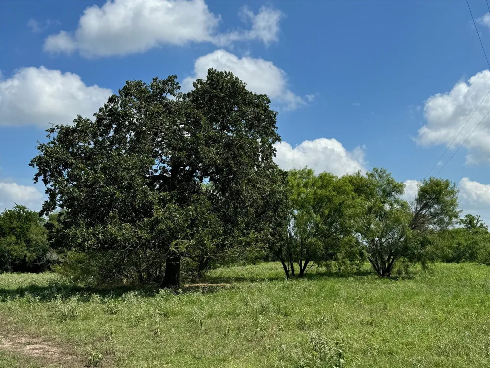 4430 Fm 1457 Round Top, TX 78954