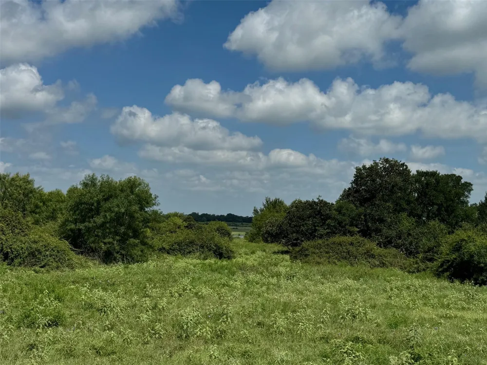 4430 Fm 1457 Round Top, TX 78954