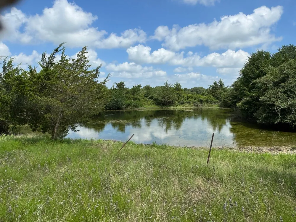 4430 Fm 1457 Round Top, TX 78954