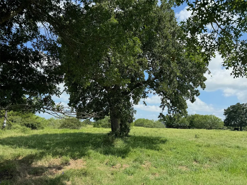 4430 Fm 1457 Round Top, TX 78954
