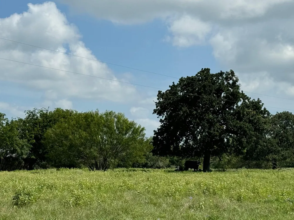 4430 Fm 1457 Round Top, TX 78954