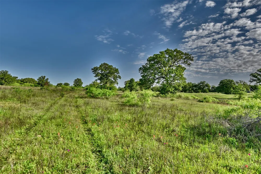 7237 County Rd 170, Track B Caldwell, TX 77836