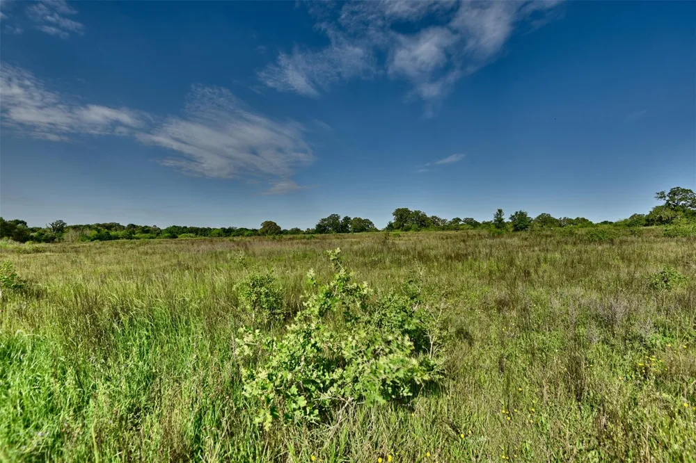 7237 County Rd 170, Track B Caldwell, TX 77836