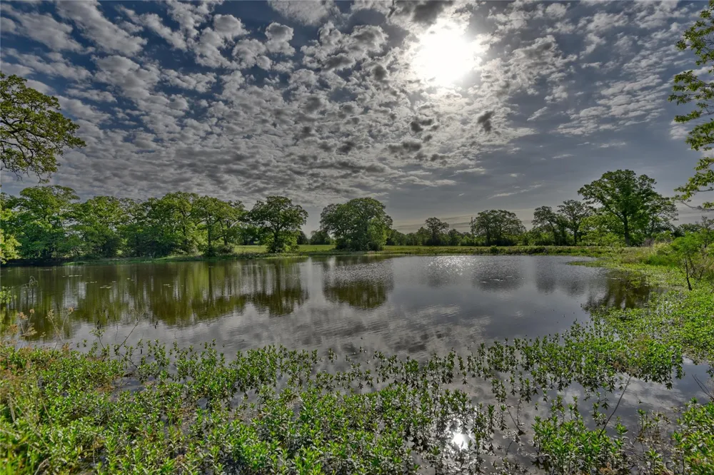 7237 County Rd 170, Track B Caldwell, TX 77836