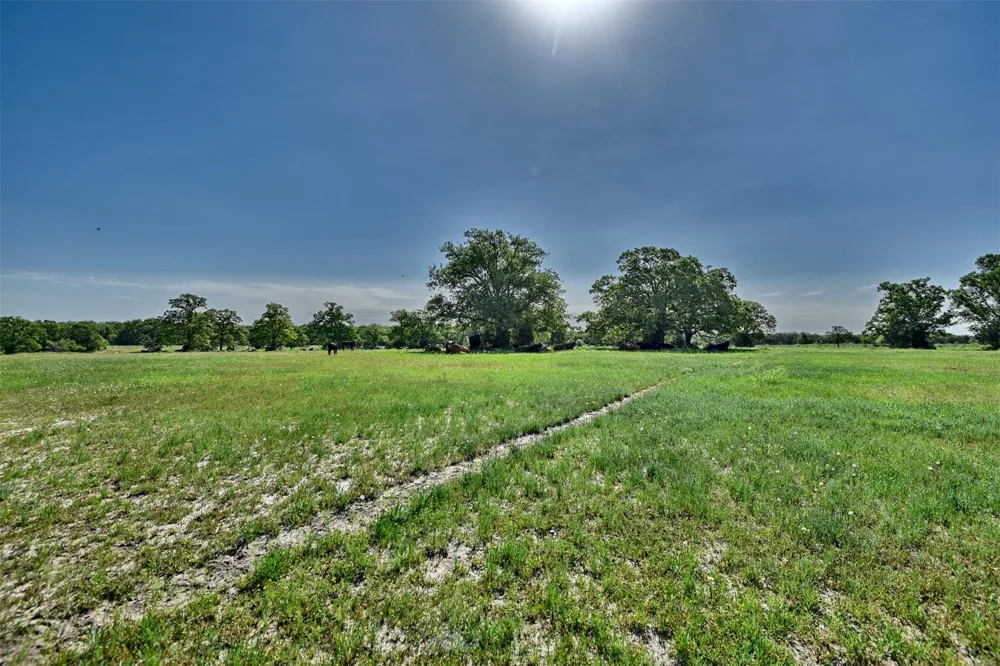 7237 County Rd 170, Track B Caldwell, TX 77836