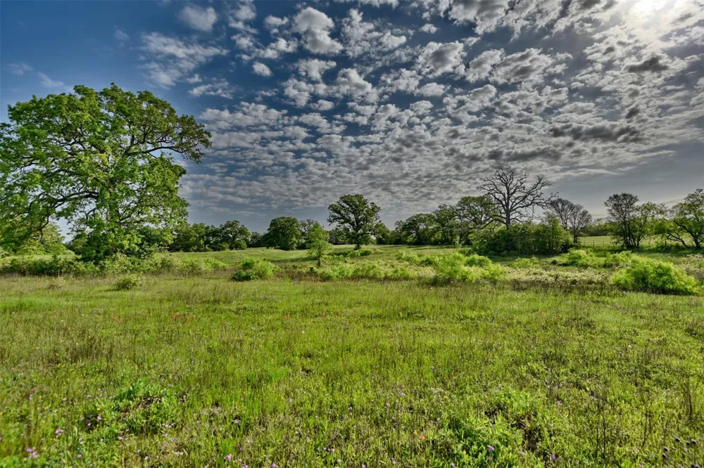 7237 County Rd 170, Track B Caldwell, TX 77836