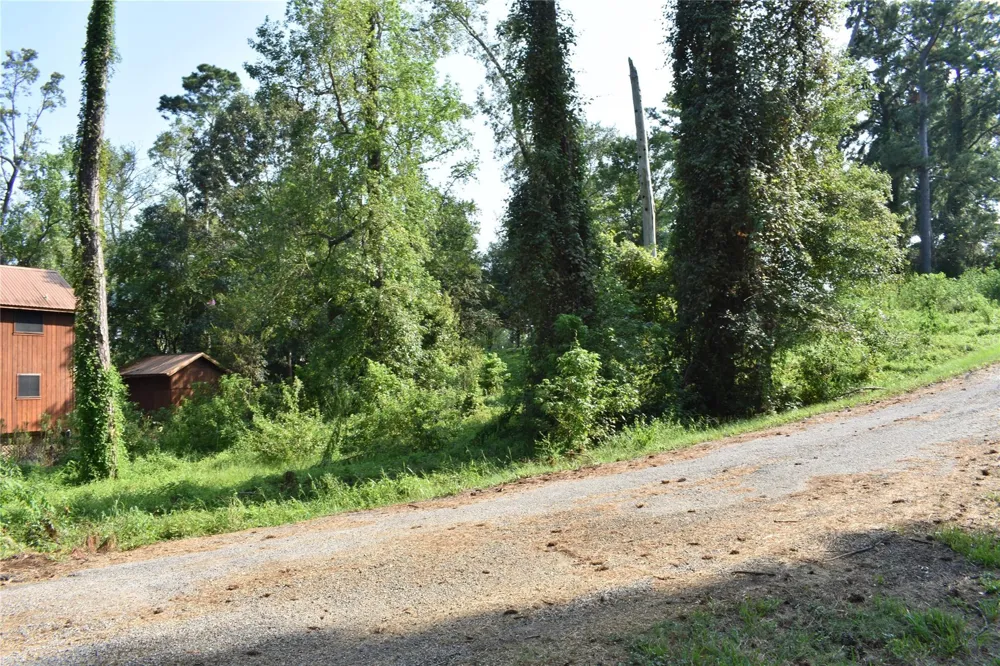 Shady Glen Drive Point Blank, TX 77364