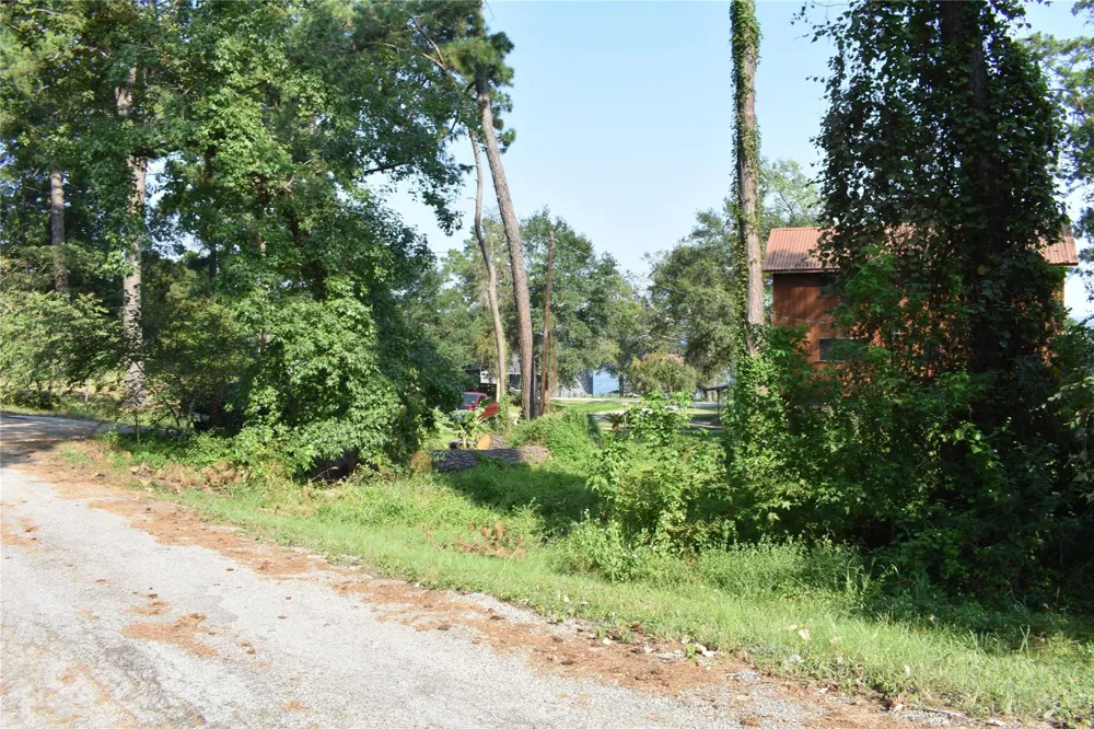 Shady Glen Drive Point Blank, TX 77364